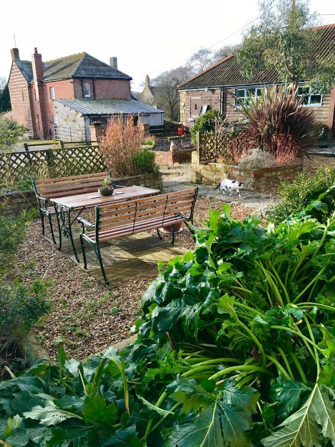 Home Barn Bed And Breakfast Yeovil Luaran gambar